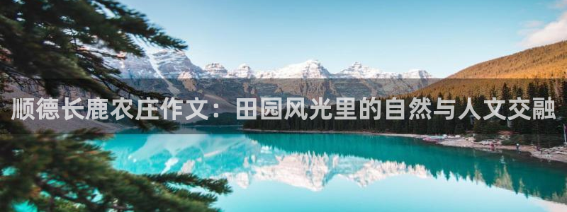 Usdt九游会充值