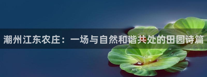 j9九游会备用网站