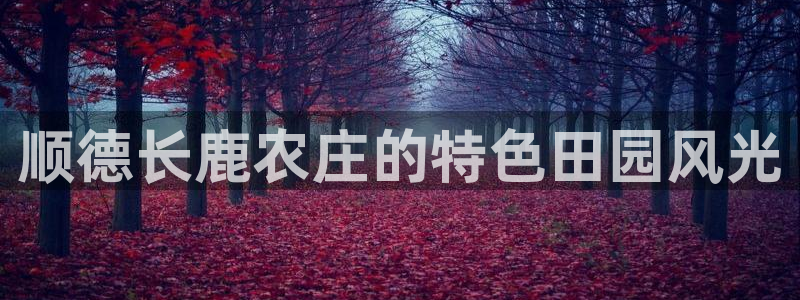 九游会网站打不开