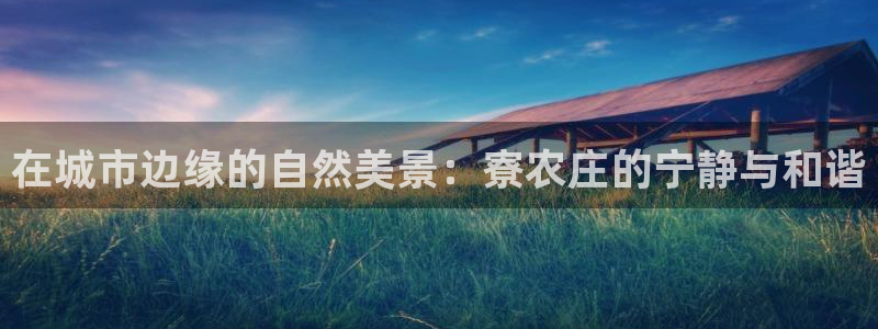 九游会特斯拉