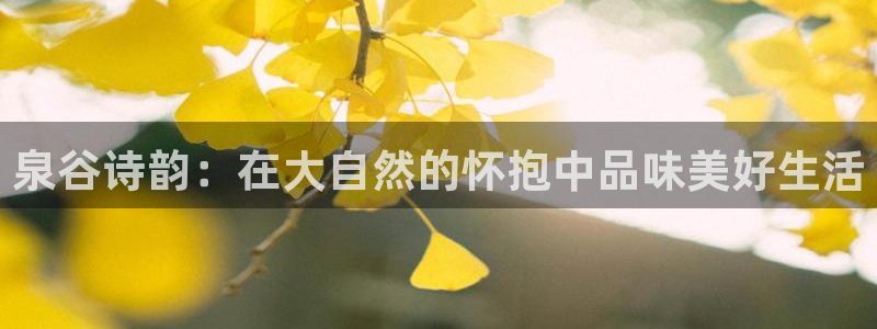 九游会官网老哥俱乐部