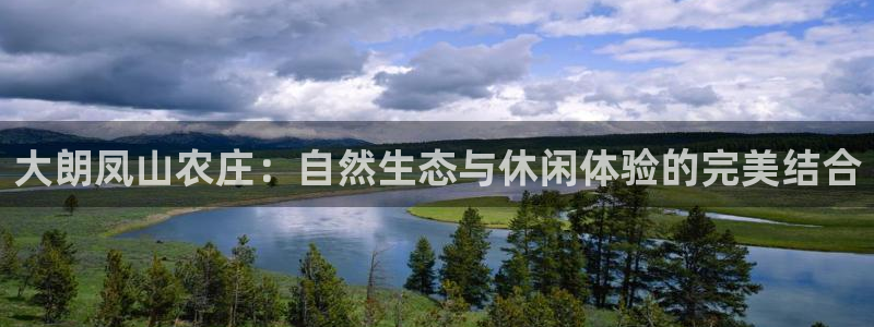 ag九游会网点