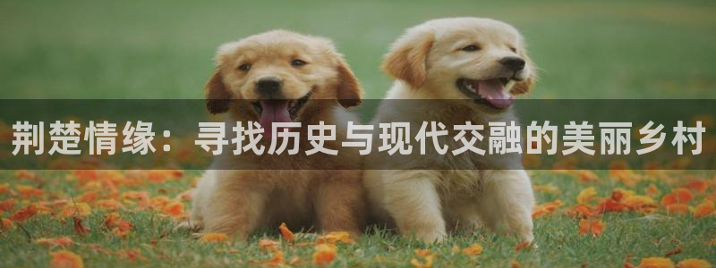 AG8九游会游会
