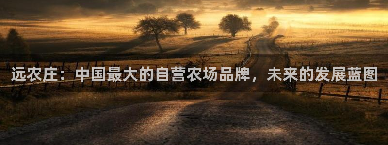 九游账号会自动注销不