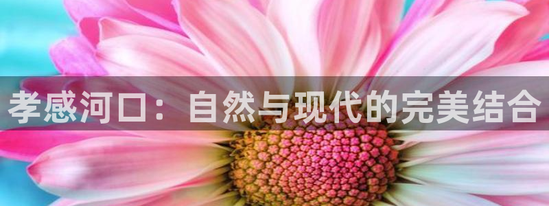 j9九游会提款稳定吗