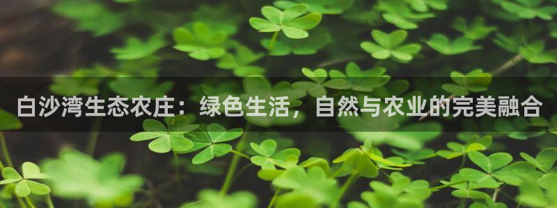 九游会usdt