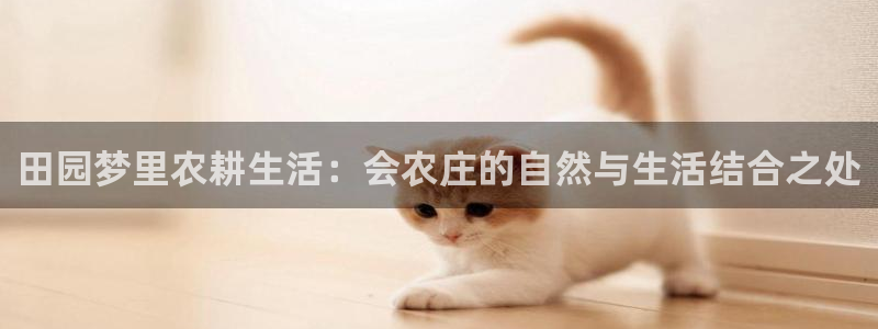 九游会体育网页版