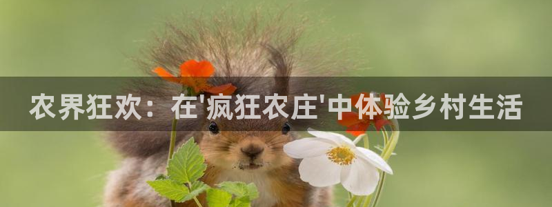九游会平台游戏