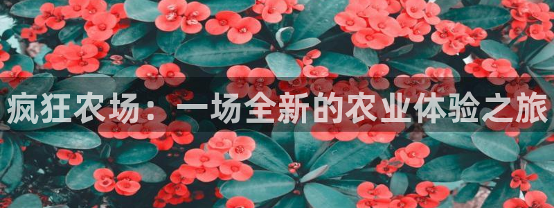 九游会备用入口
