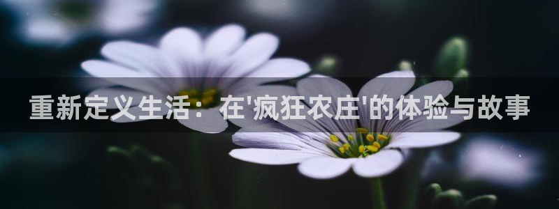 九游会产品介绍