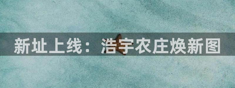 jy九游会老版