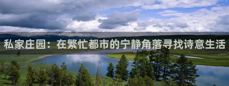 九游会vip入口