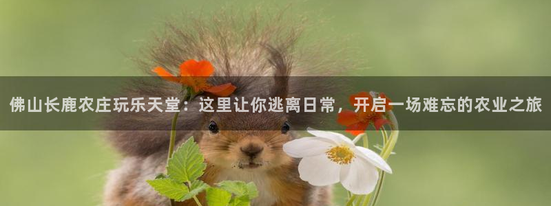 九游会官网直营店
