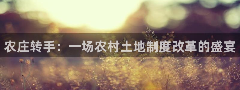 九游会dg