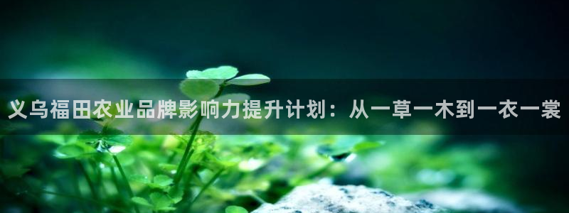 九游会真人品牌