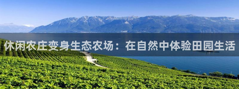 九游会网络