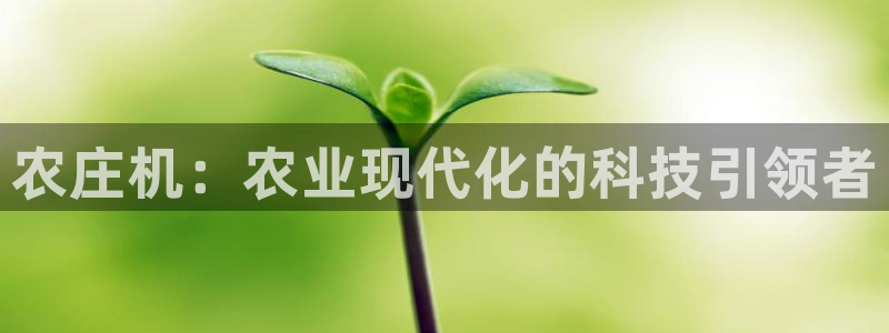 j9九游会app