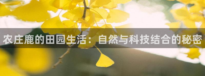九游超玩会