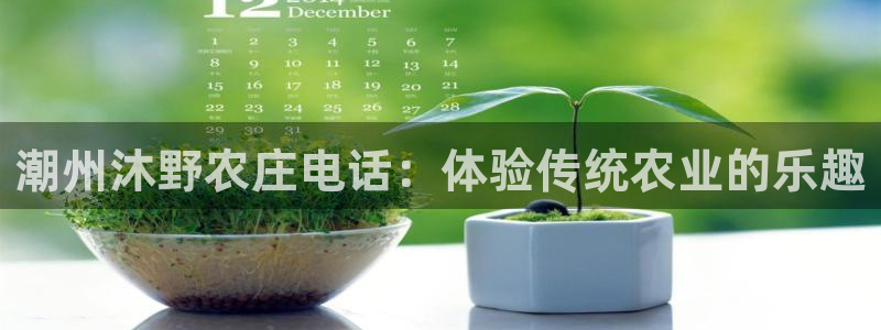 九游会j