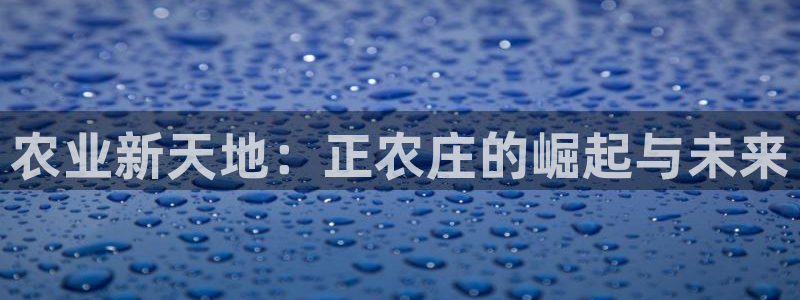 九游会入口网址