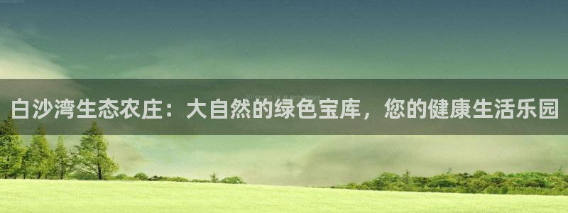 九游会官网网站是什么