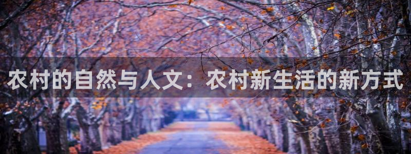 九游三无帐号会找回吗吗