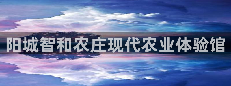 网赌九游会