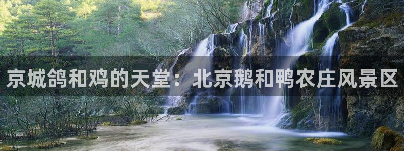 九游会彩票