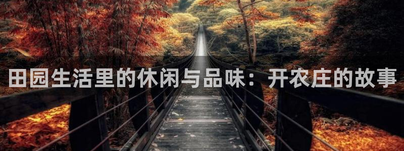 ag九游会网点