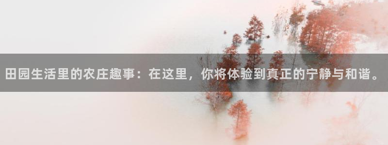 九游会体育比分