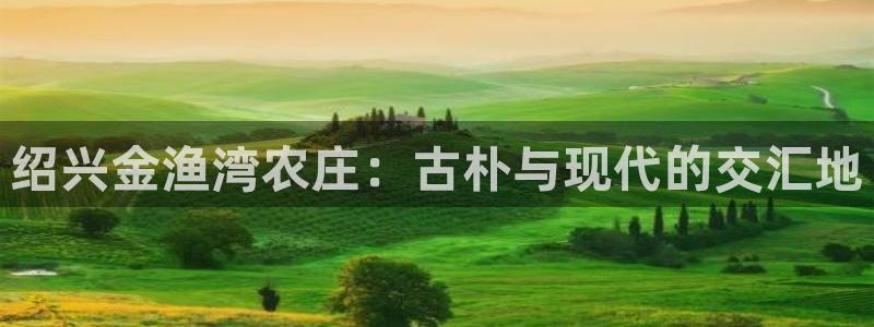 a九游会