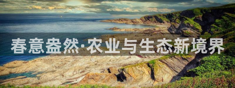 九游会真假