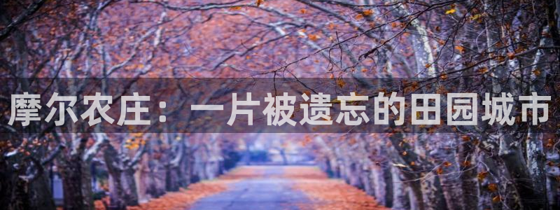 jy九游会老版