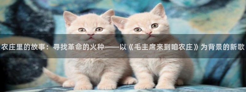 九游会最新官网ag