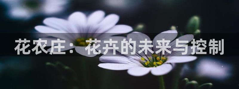 九游会j9手机旗舰