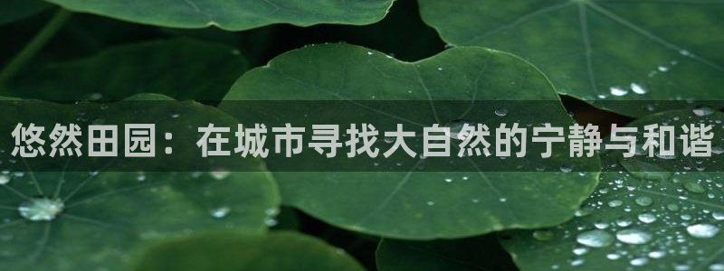 vip九游会