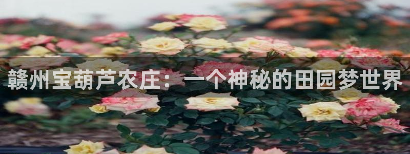 九游会JY3668