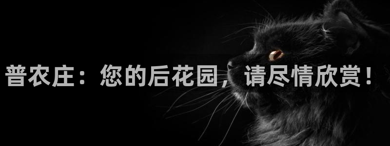 九游会老哥论坛