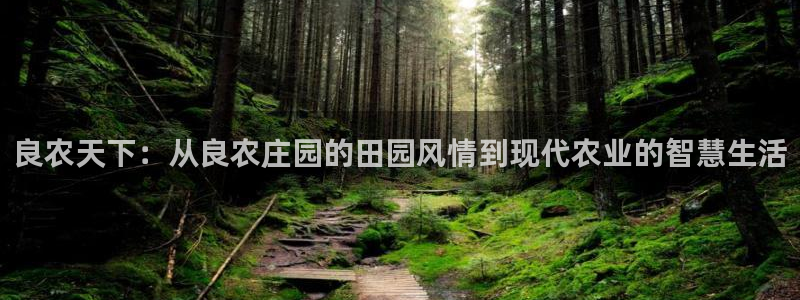 九游官网网页版九游会