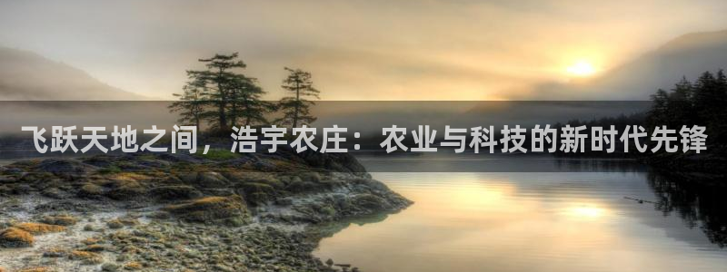 九游会感受