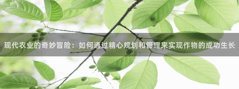 九游评论区留言会封号吗
