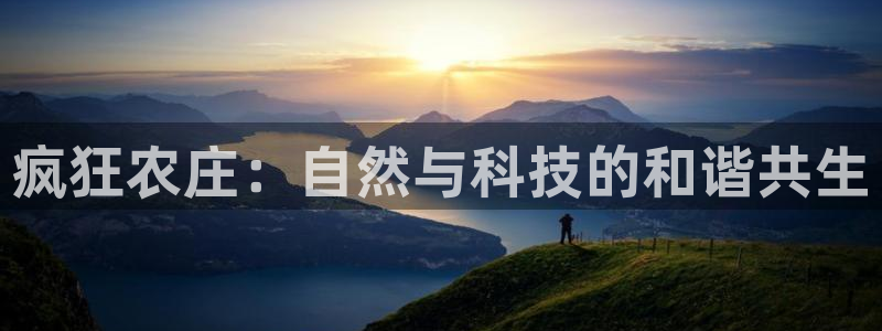 ag九游会线路
