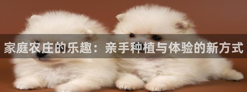九游会最新入口