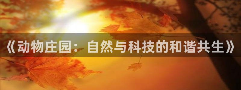 九游会j