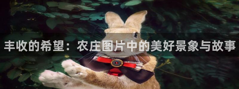 九游会1001