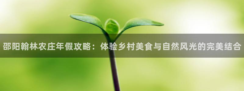 九游会ag网址大全