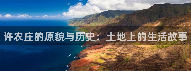九游会平台app