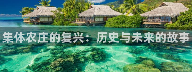 九游会正规备用网址