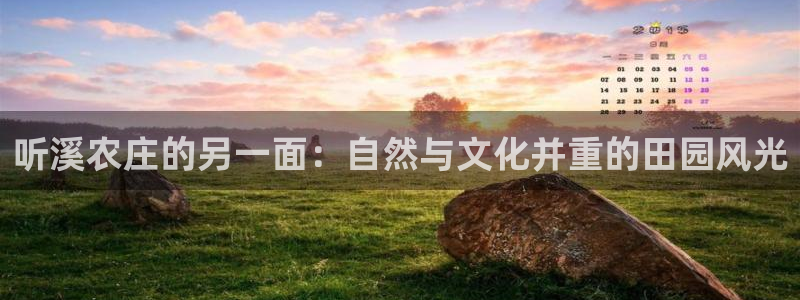 九游会亚洲集团