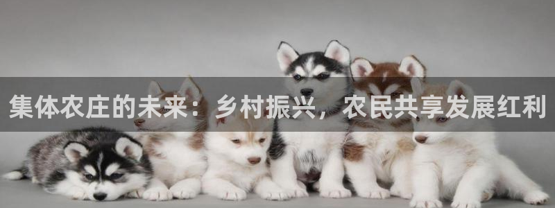 九游会代理